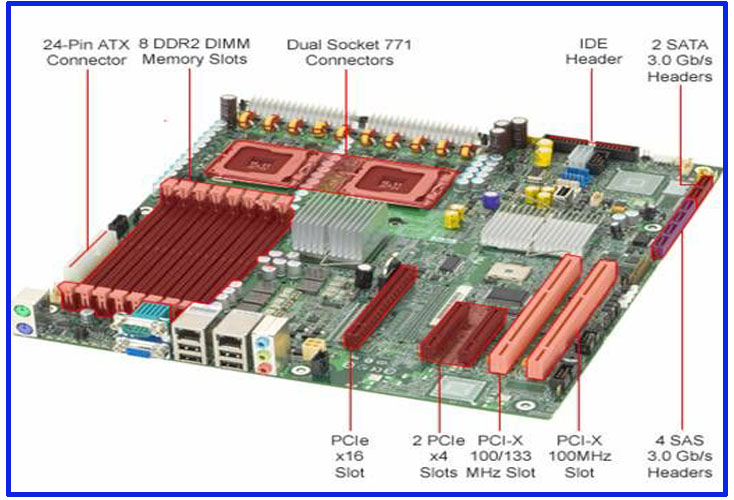 Server Motherboard